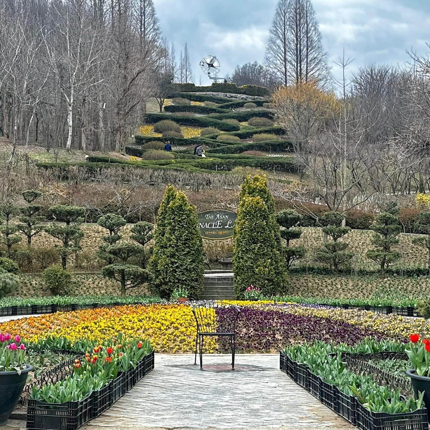 억만송이 봄꽃대향연 튤립 수선화 축제