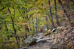 서울특별시 지역 명소 20선