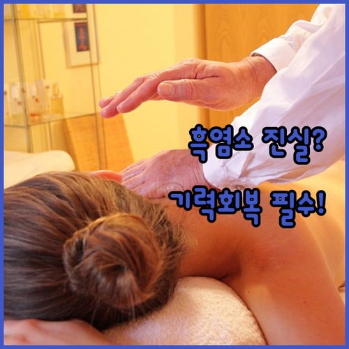 울릉도 흑염소 수육 전골 요리부터 진..