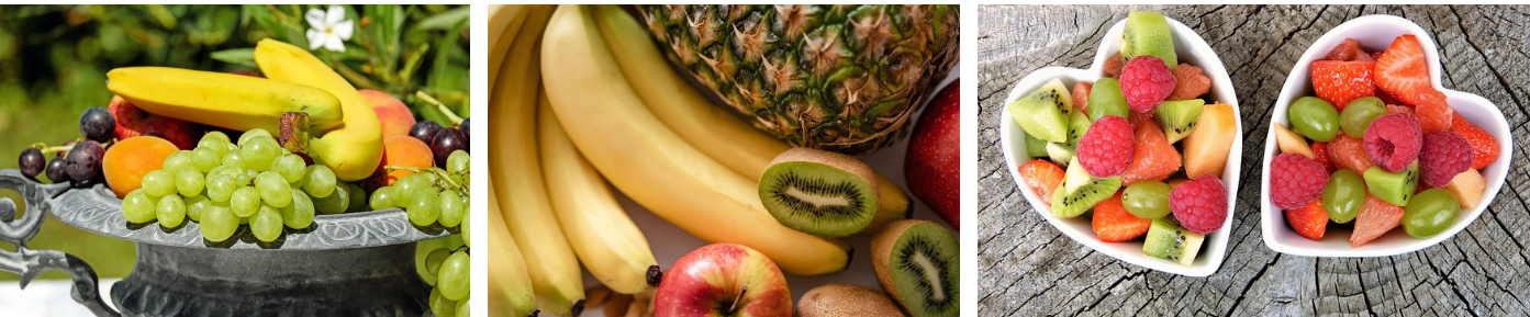 사업 개요 및 목적