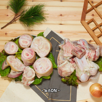 콜라겐 많은 음식