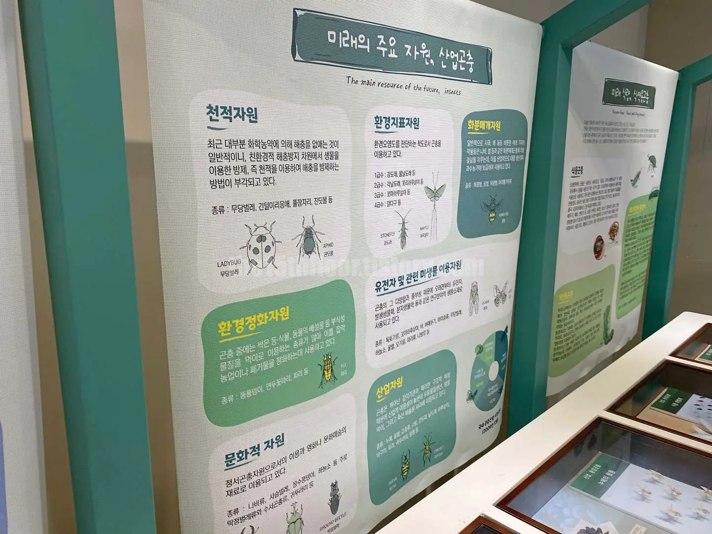 경남 의령 &amp;#39;의령 곤충생태학습관&amp;#39; (2층 &amp;#39;곤충 탐구관&amp;#39;)