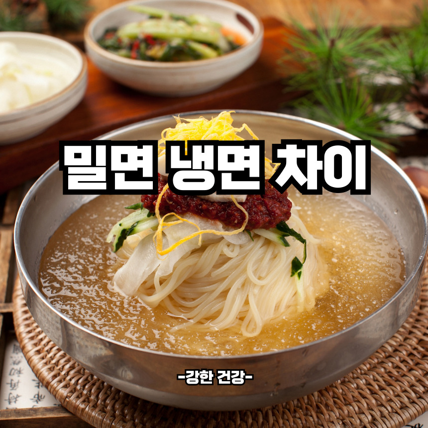 밀면과 냉면 차이