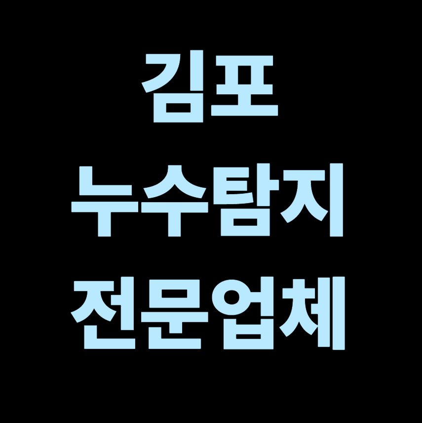 김포시 누수탐지 전문업체