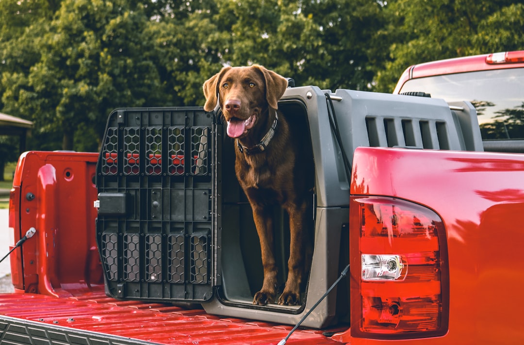 Truck bed