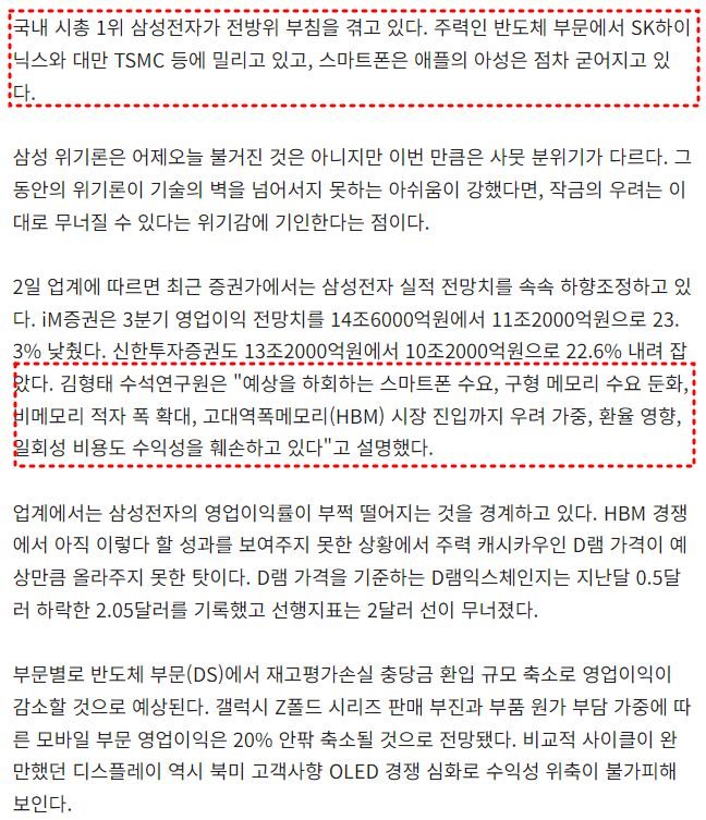 삼성전자 위기론