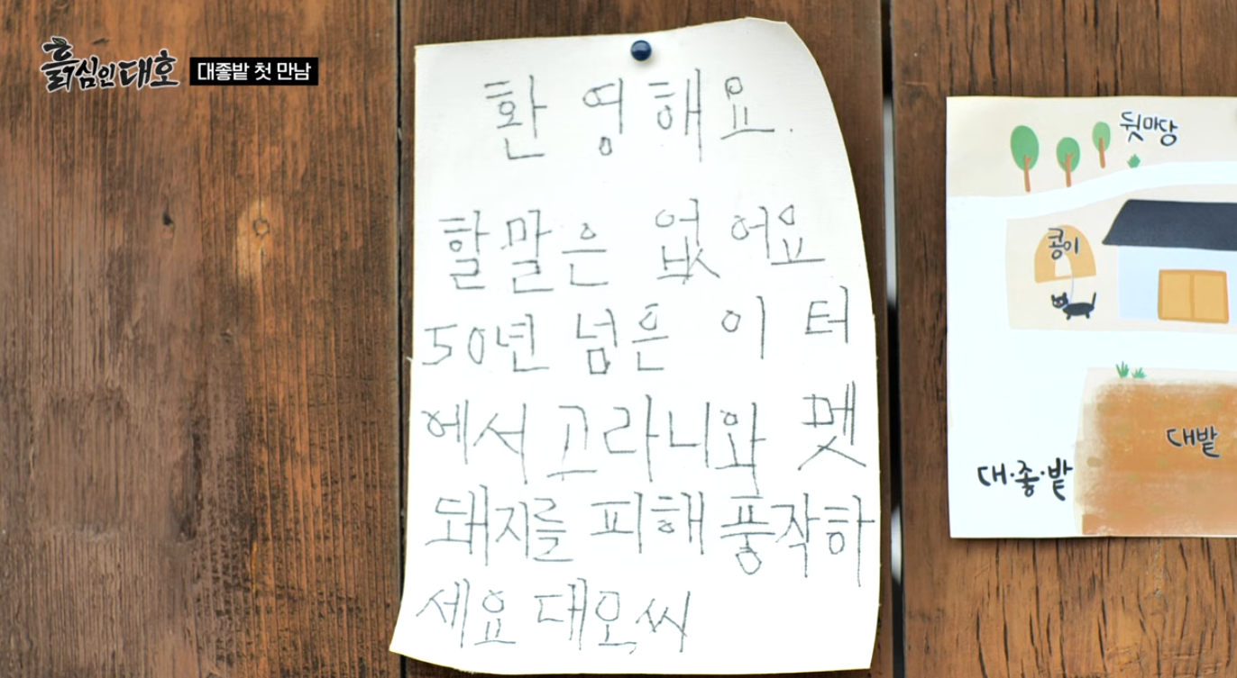 흙심인대호, 김대호 아나운서 유튜브 JTBC 웹예능 출연진