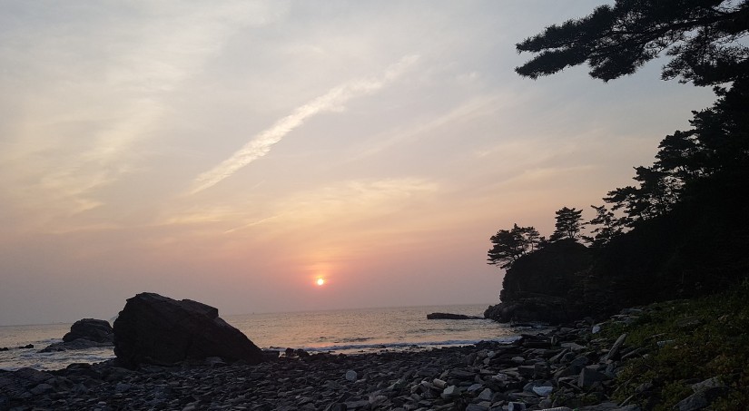 붉게 물드는 바닷가 이미지에 양쪽에는 해송이 바닥에선 자갈과 바위가 있는 모습이 무척이나 아름답다.
