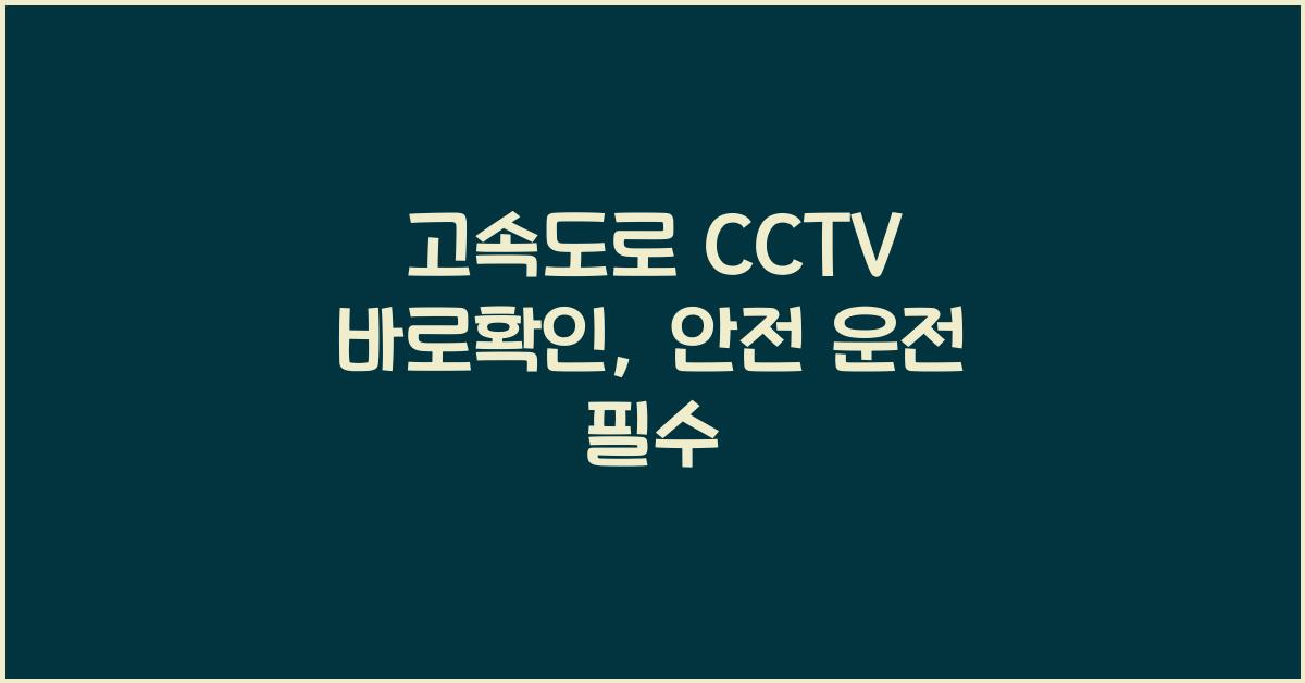고속도로 cctv 바로확인