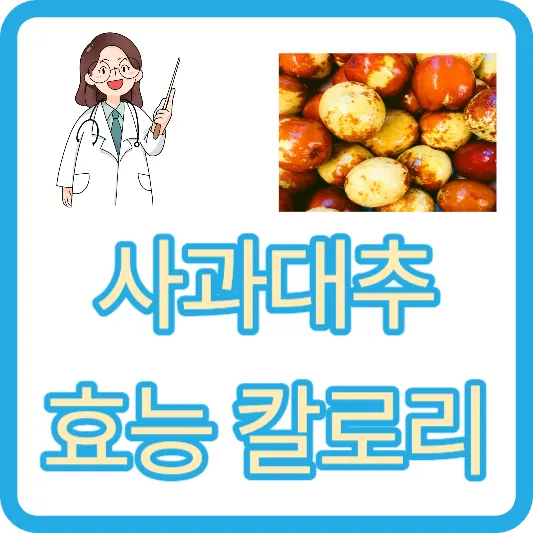 10월 제철 인도대추 왕대추 사과대추 효능 및 칼로리