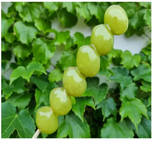 샤인머스켓 탕후루