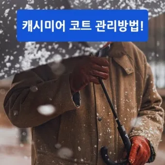 코트 관리 드라이 스팀 옷솔 곰팡이 예방 가이드_15