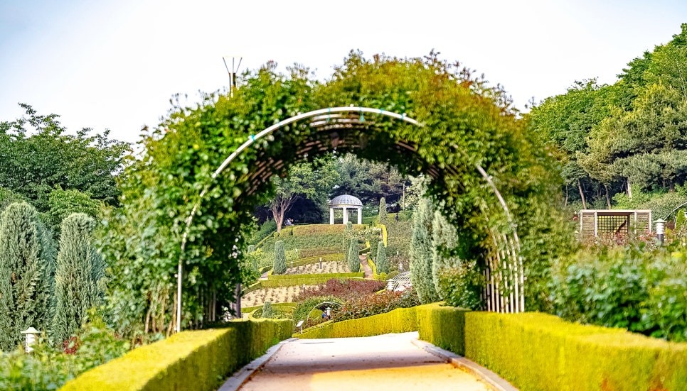 백만송이 장미축제