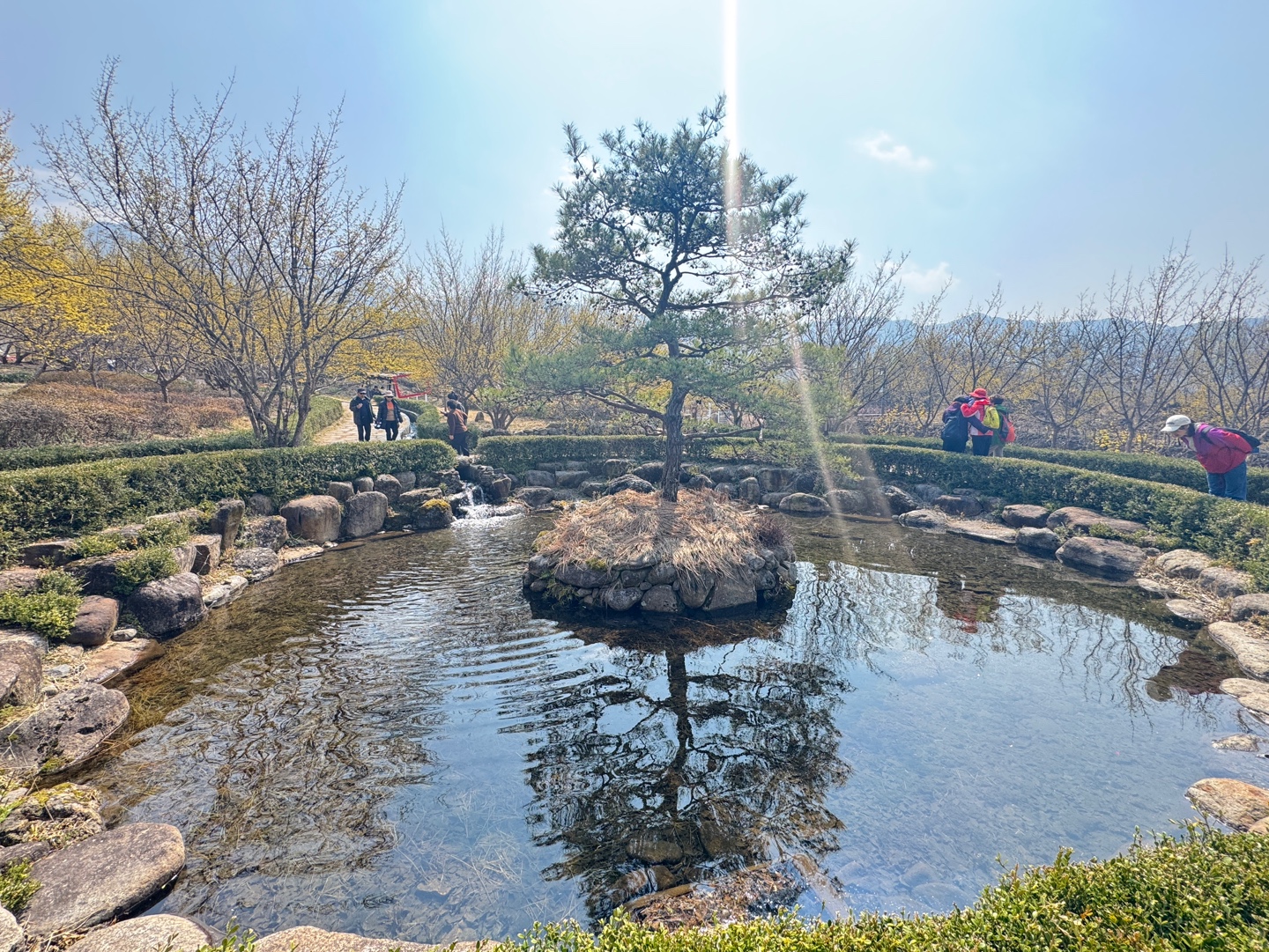 구례산수유축제