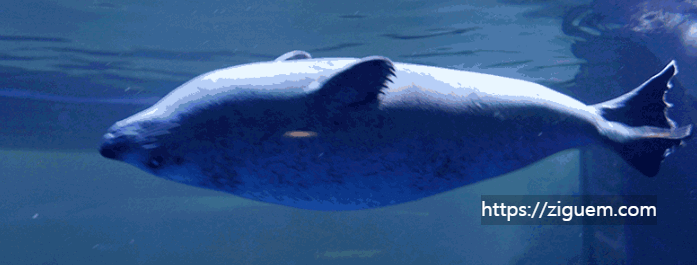 아쿠아플라넷 63 할인