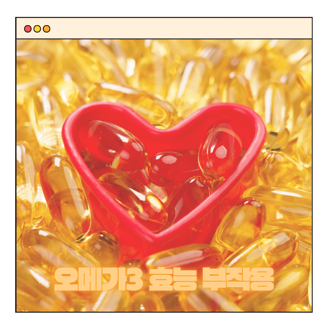 오메가3 효능과 부작용 복용법 