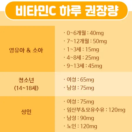 비타민C 하루 권장량