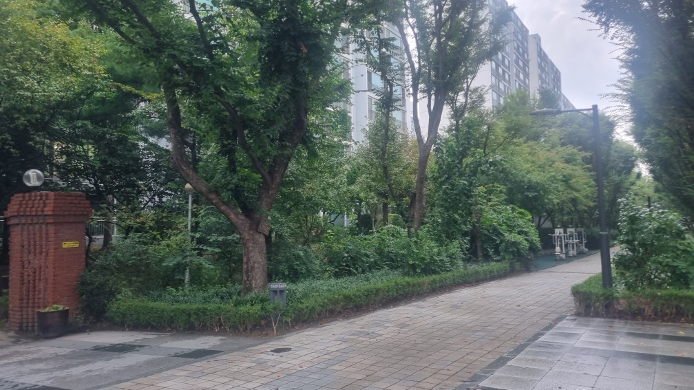 탑선경 사잇길 