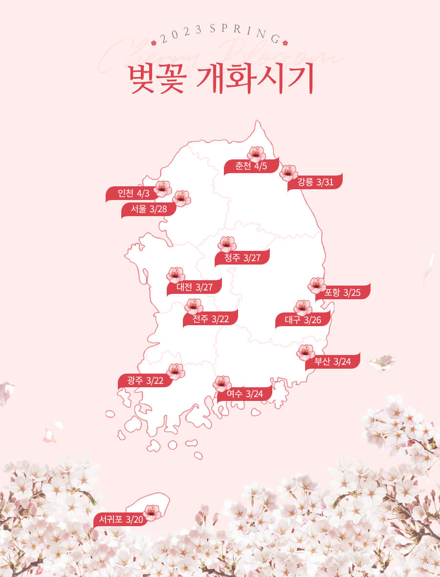 충청북도 벚꽃 명소 베스트 5 벚꽃시기 만개시기 드라이브 코스