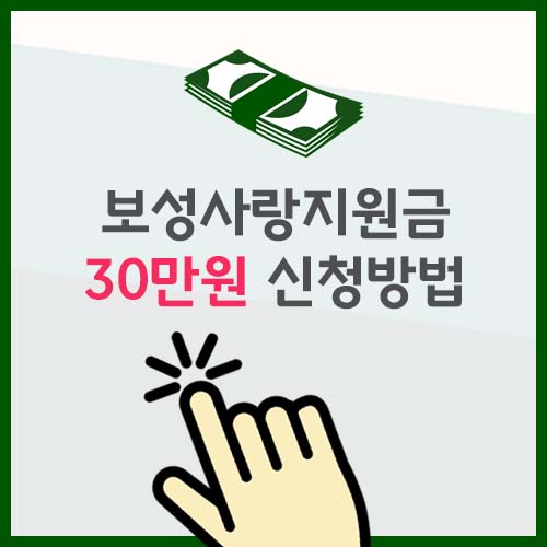 보성사랑지원금 30만원 신청방법