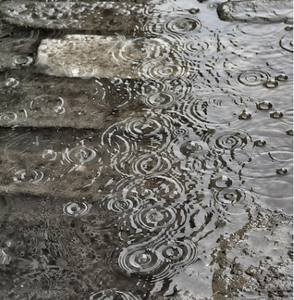 빗방울이 떨어지는 순간의 사진