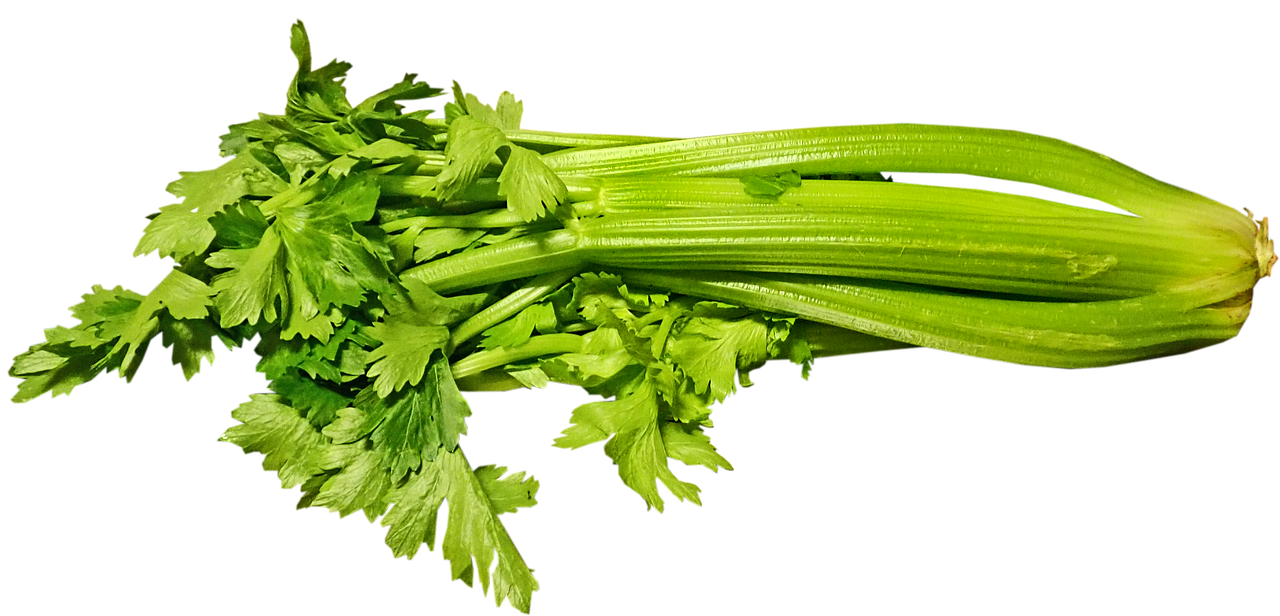 샐러리의 효능을 알아보자