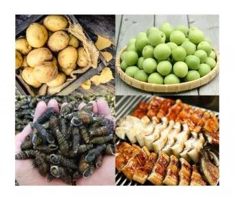 여름 준비는 건강한 식탁에서 6월 제철 음식 리스트 완벽 총정리_12