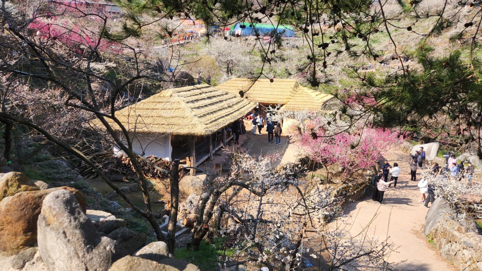 광양 가볼만한곳 - 홍쌍리 청매실농원