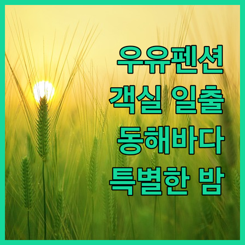 우유펜션.. 동해 바다를 품은 특별한