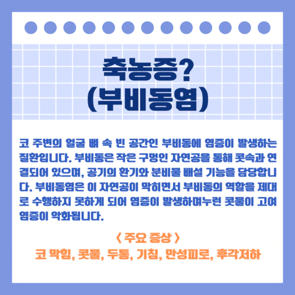 축농증(부비동염)에-대한-설명과-주요-증상