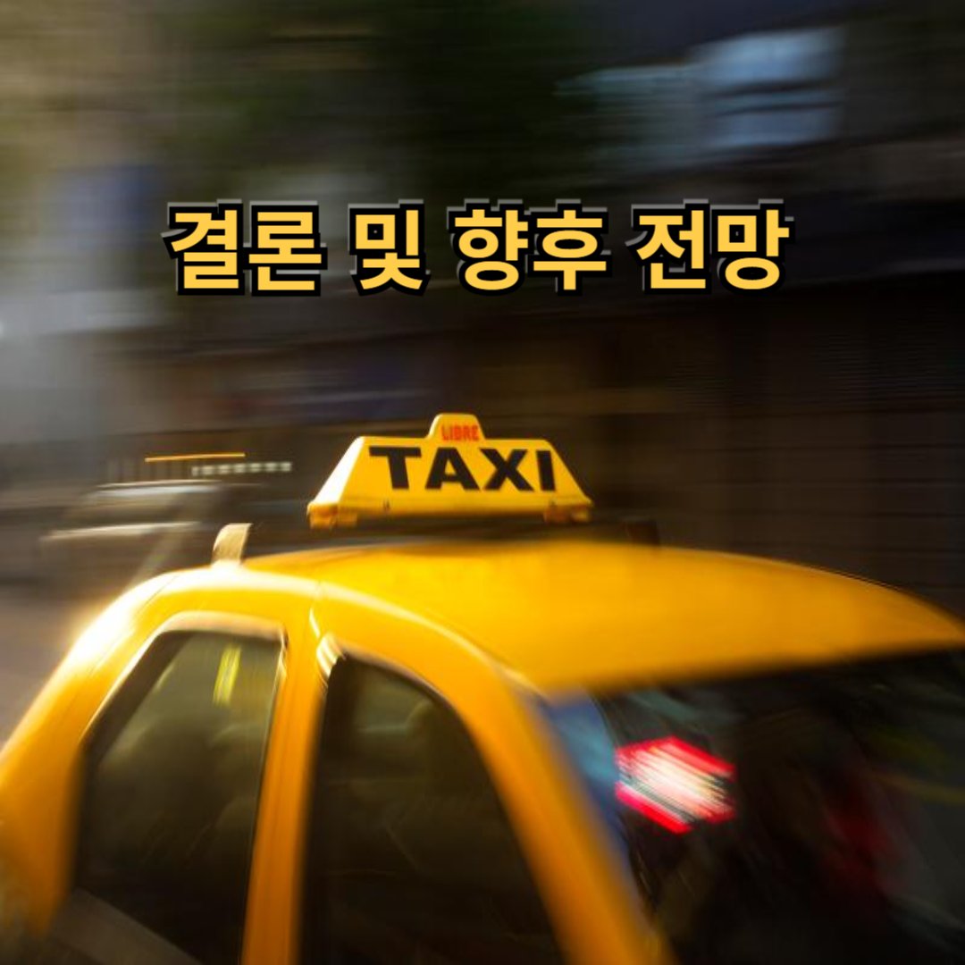 개인택시 결론 및 향후 전망