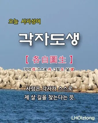 각자도생 뜻 유래 한자 비슷한 말 예문 영어 속담 반대말_13