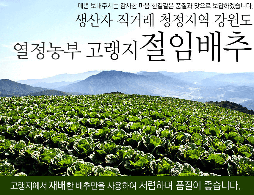 절임배추 추천 BEST 5