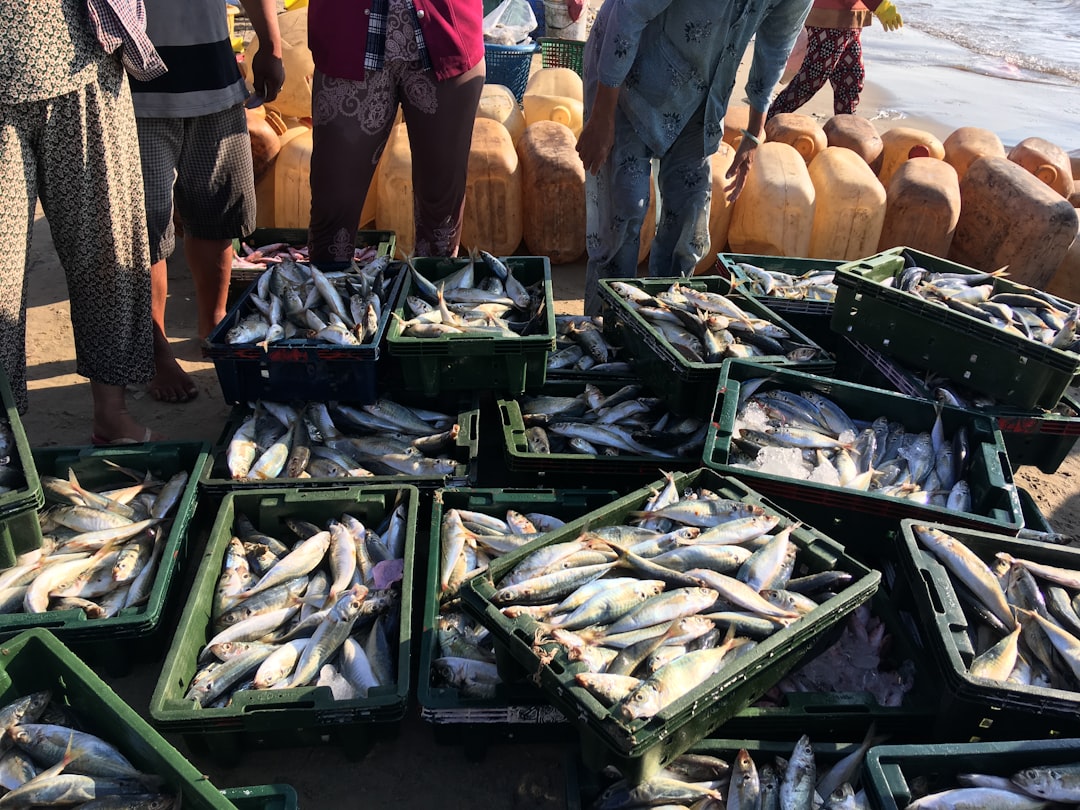 Fish market