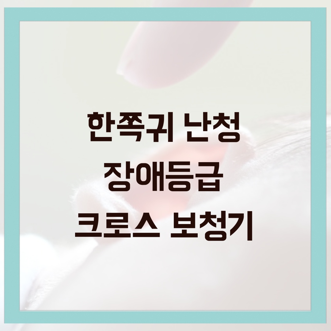 한쪽귀 난청 장애등급 이럴때는 크로스 보청기