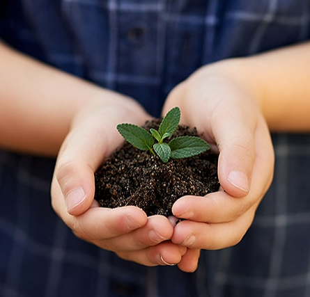 한화솔루션 주가 전망 배당금 분석 2025년 최신 반영!