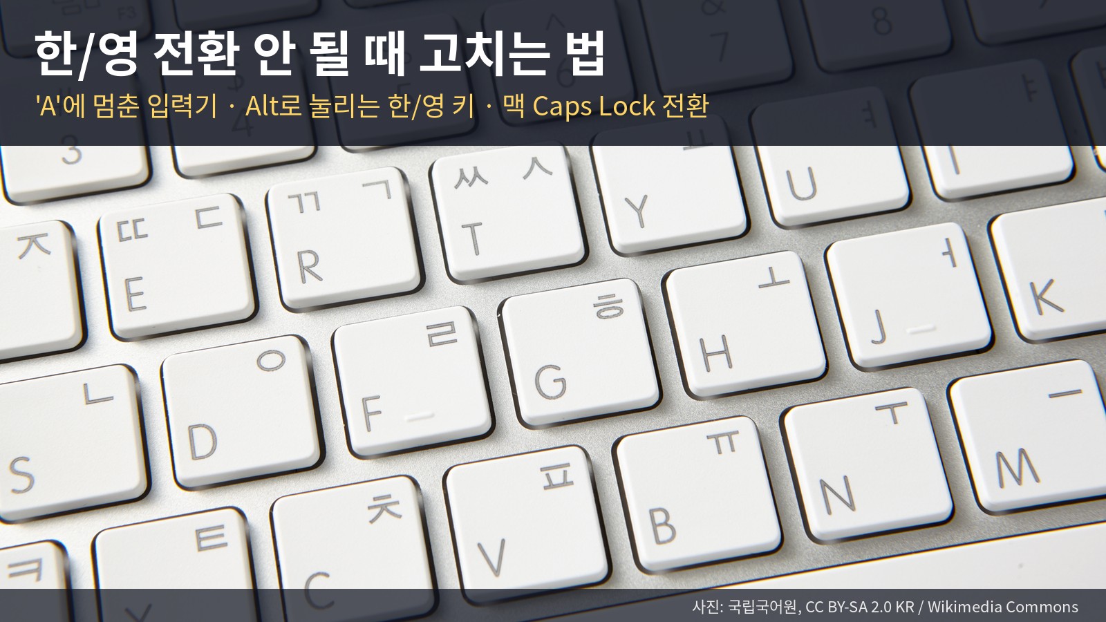 한영 전환 안 됨, 한영키 안 먹힐 때 — 'A'에 멈춘 입력기·Alt로 눌리는 한/영 키 고치는 법 (윈도우 11·10·맥)