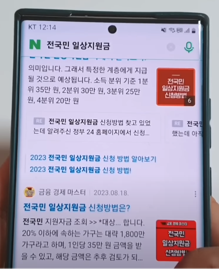 전국민 일상지원금