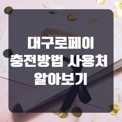 대구로페이 충전방법 및 사용처 알아보기