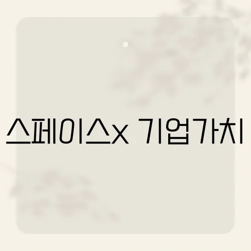 스페이스x 기업가치, 테슬라를 넘어설 가능성은?