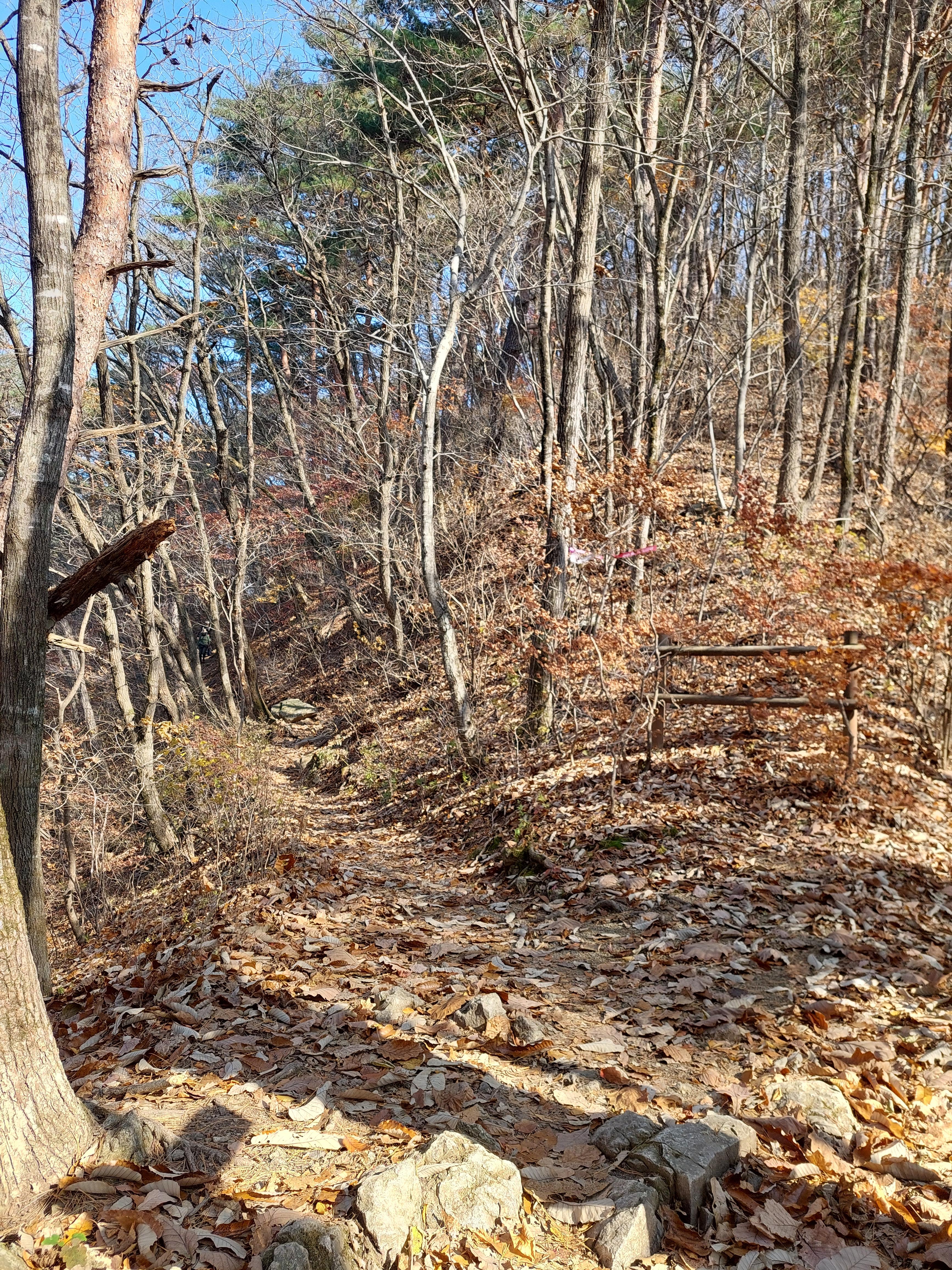 주왕산