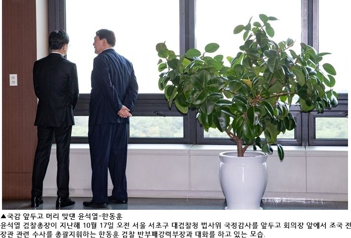 한동훈 키가 181cm 라는 헛소문