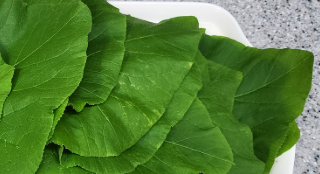 물에 찐 호박 잎을 이제는 마셔야 한다