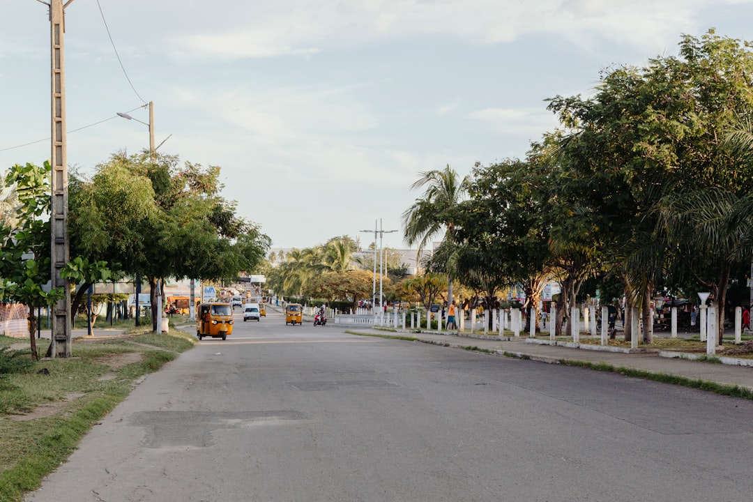 Paju