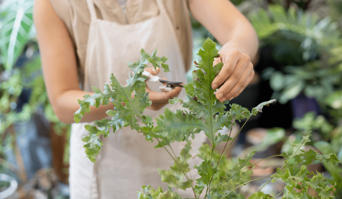 소상공인_대출자격_4