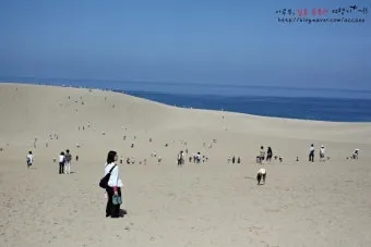 일본 돗토리 여행코스 3박 4일 일정 및 필수 관광지 추천_15