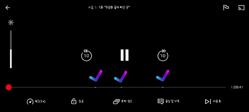 넷플릭스 광고형 후기 광고 개수