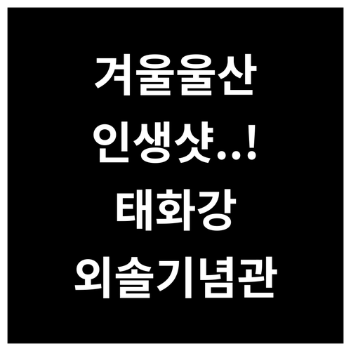 겨울 울산 중구 명소 추천 태화강 국..