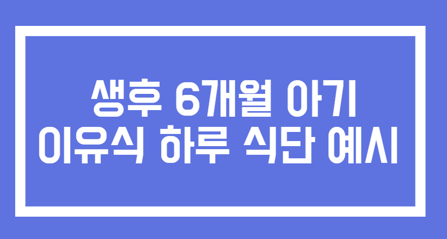 이유식 하루 식단 예시 관련 사진