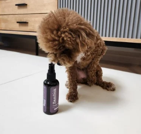 강아지 입냄새, 왜 생기고 어떻게 없앨까? 5가지 관리 팁